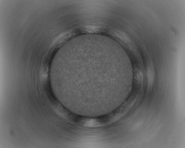 X0000115070507200911101305