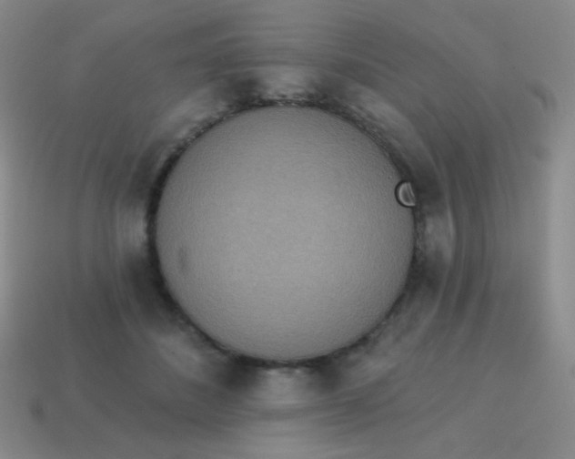 X0000115070508200911101305