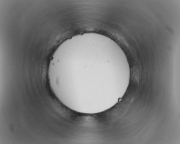 X0000115070509200911101305