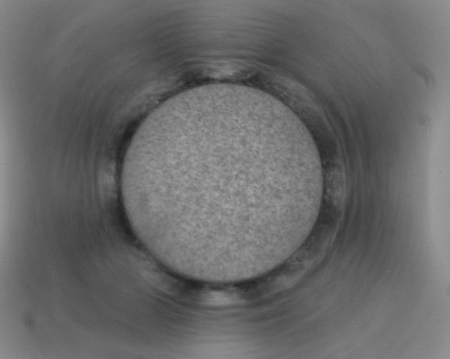 X0000115070510200911101305