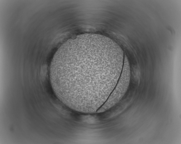 X0000115070511200911101305