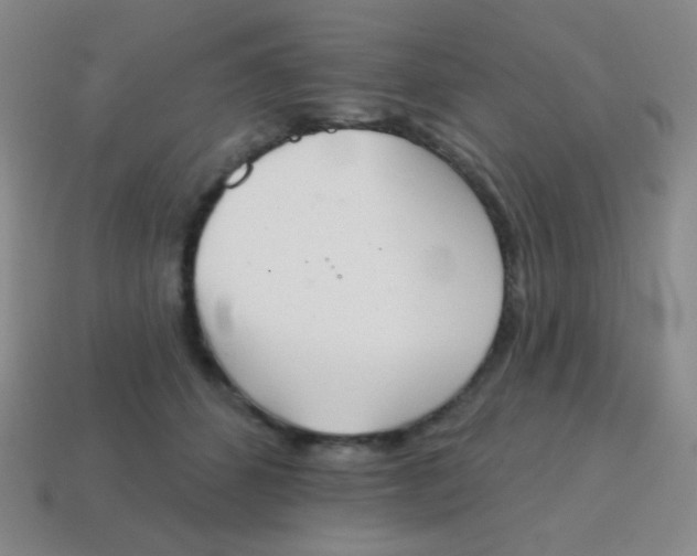 X0000115070512200911101305