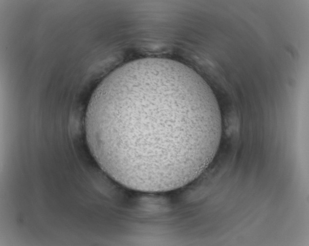 X0000115070515200911101305
