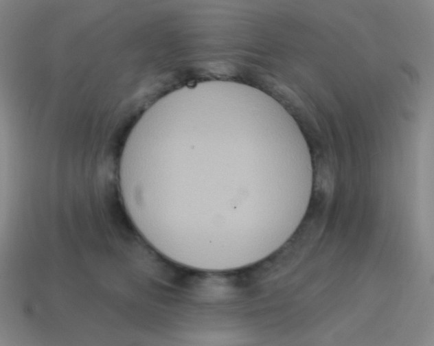 X0000115070518200911101305