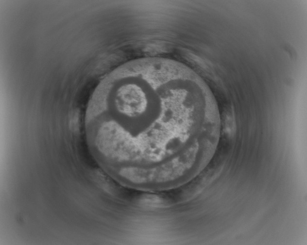 X0000115070519200911101305