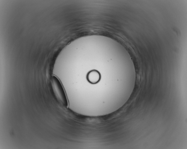 X0000115070520200911101305