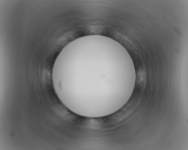 X0000115070522200911101305