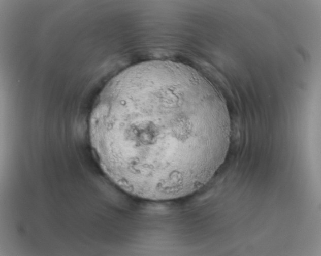 X0000115070523200911101305