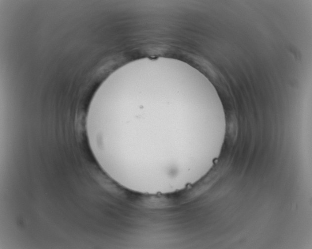 X0000115070525200911101305