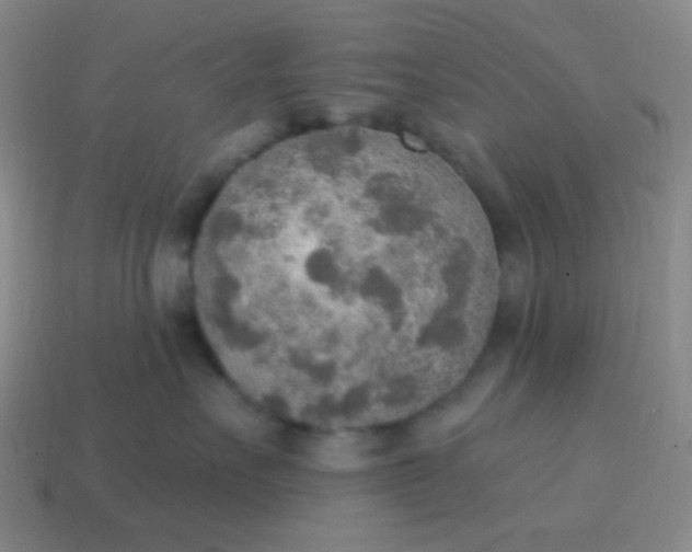 X0000115070527200911101305