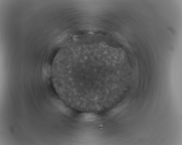 X0000115070528200911101305