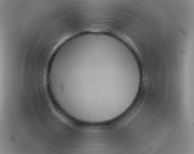 X0000115070530200911101305