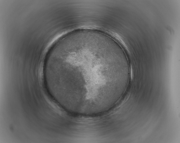 X0000115070531200911101305
