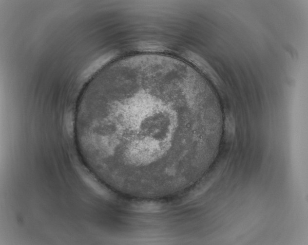 X0000115070533200911101305