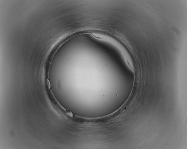 X0000115070534200911101305
