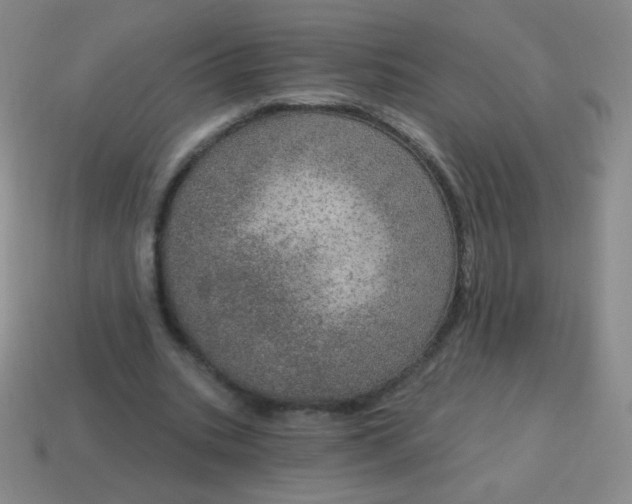 X0000115070535200911101305