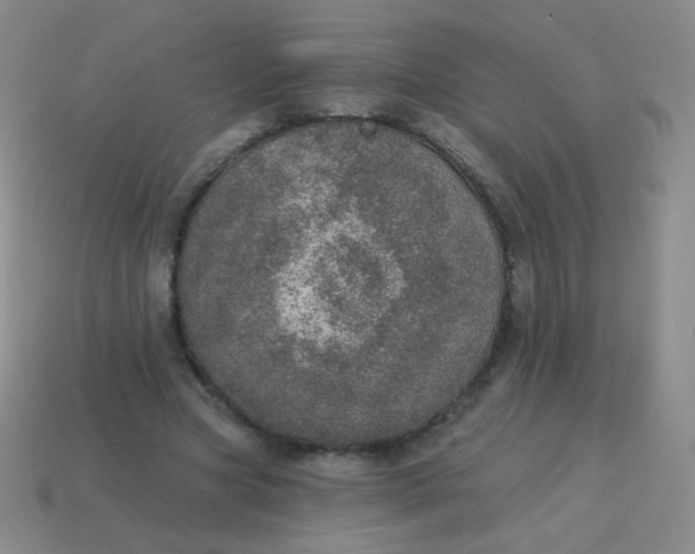 X0000115070537200911101305