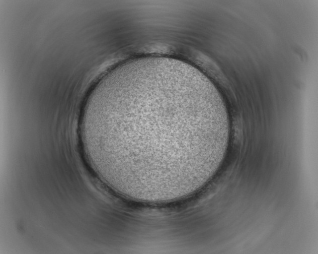 X0000115070538200911101305