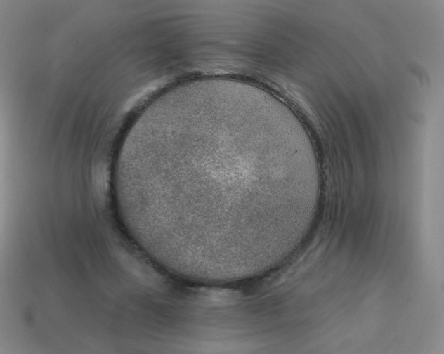 X0000115070539200911101305