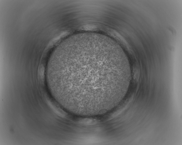 X0000115070542200911101305