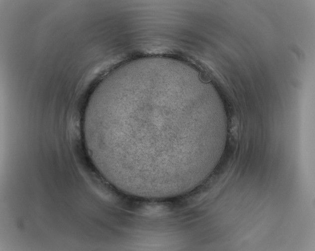 X0000115070547200911101305