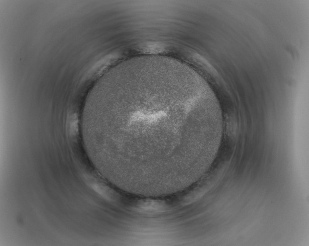 X0000115070549200911101305