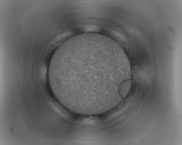 X0000115070550200911101305