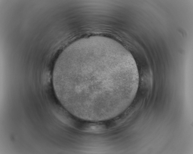 X0000115070555200911101305