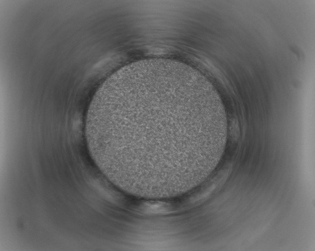 X0000115070557200911101305