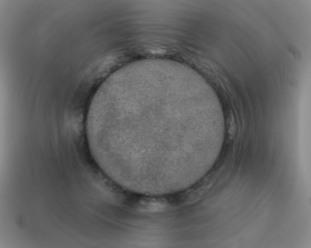 X0000115070559200911101305