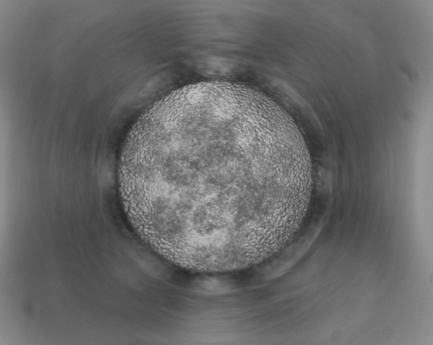 X0000115070561200911101305