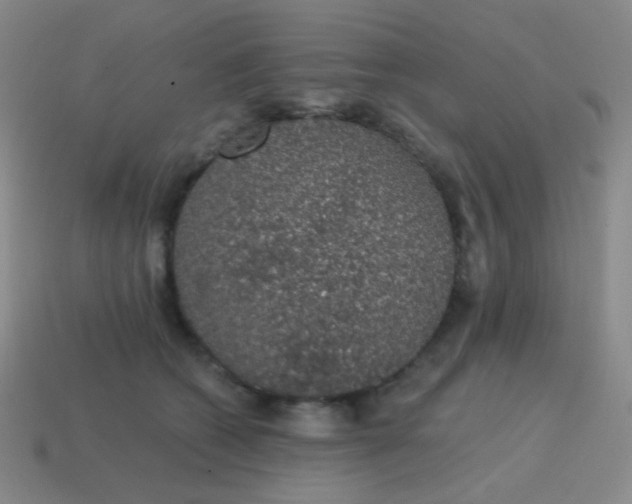X0000115070562200911101305