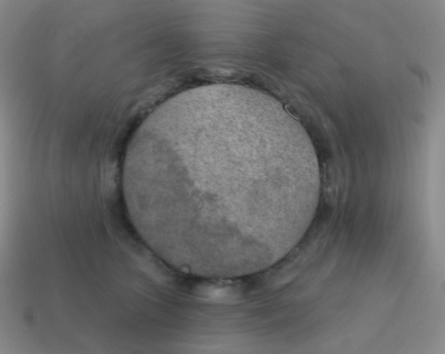 X0000115070563200911101305