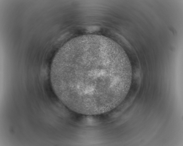 X0000115070565200911101305