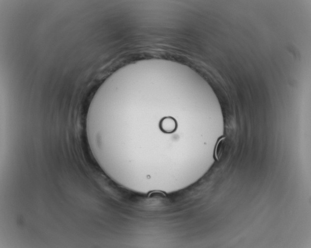 X0000115070566200911101305