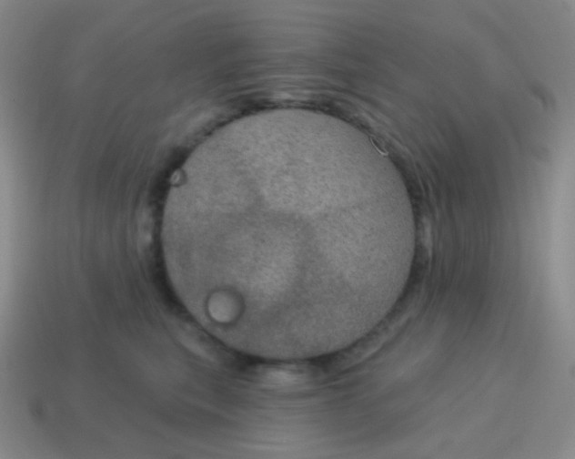 X0000115070567200911101305