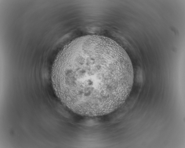 X0000115070569200911101305