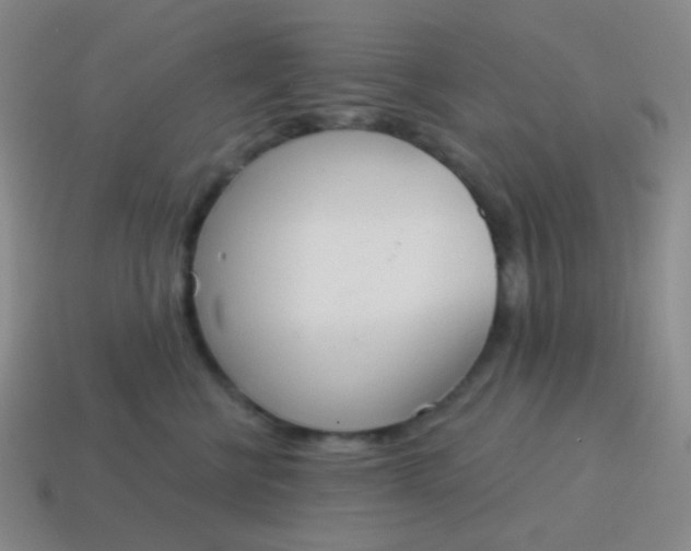 X0000115070570200911101305