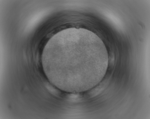 X0000115070574200911101305