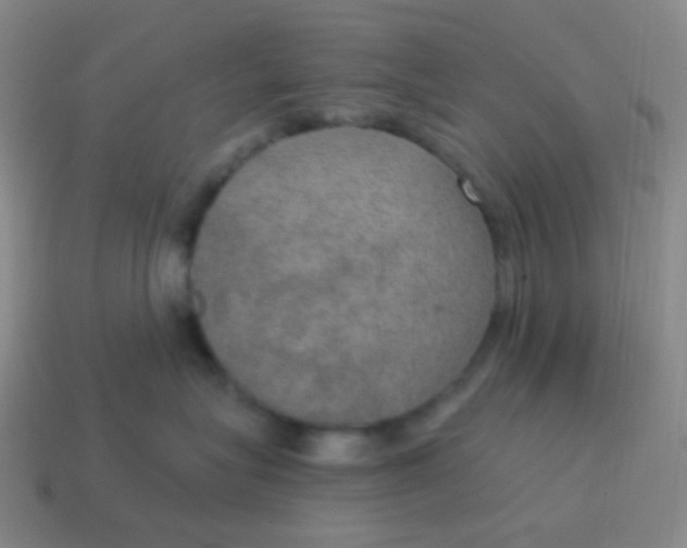 X0000115070575200911101305