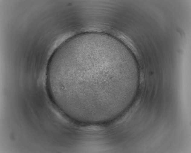 X0000115070578200911101304