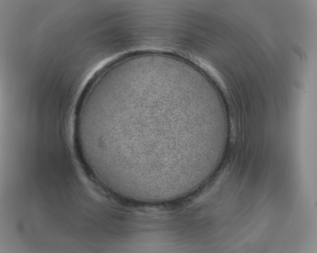 X0000115070580200911101304