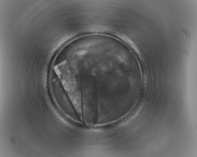 X0000115070581200911101304