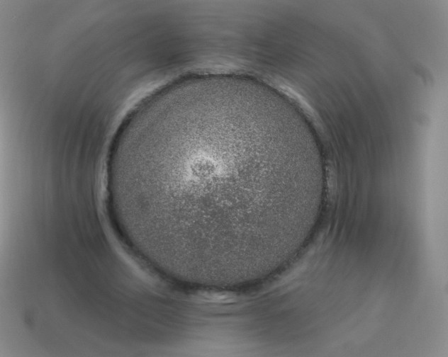 X0000115070582200911101304