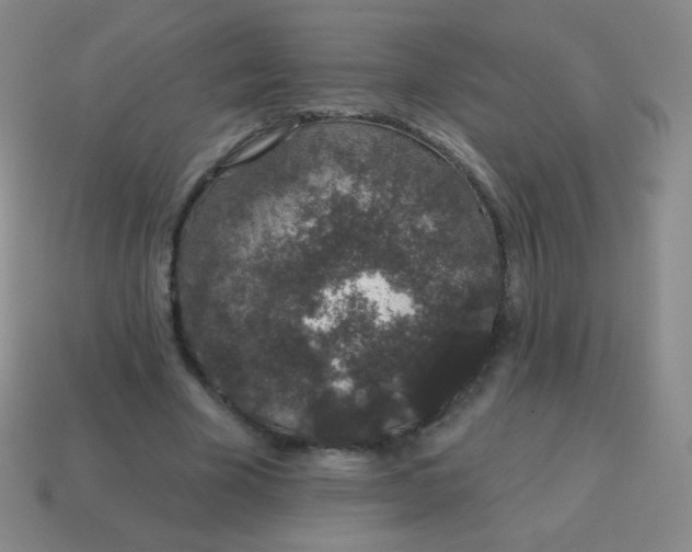X0000115070585200911101304