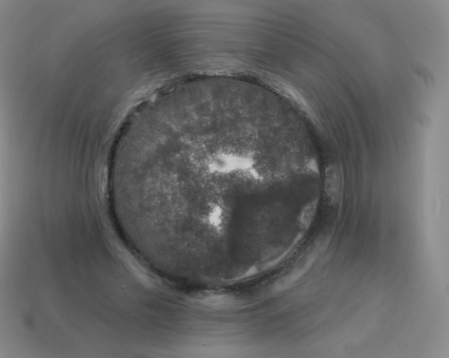 X0000115070589200911101304