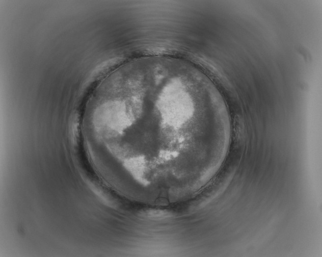 X0000115070590200911101304