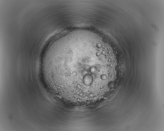 X0000115070591200911101304