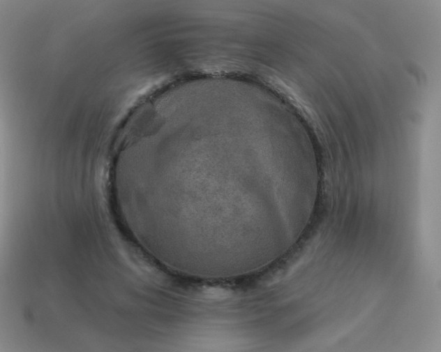 X0000115070592200911101304