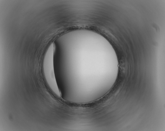 X0000115070593200911101304